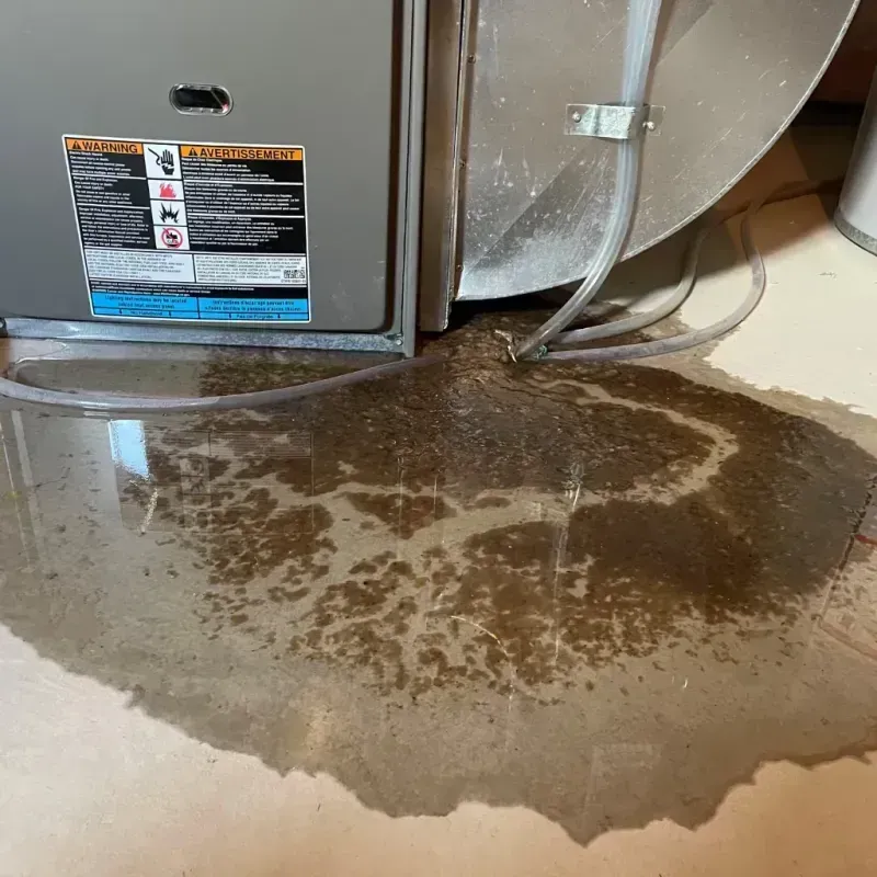 Appliance Leak Cleanup in Celoron, NY